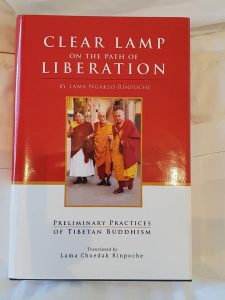Cover of Clear lamp